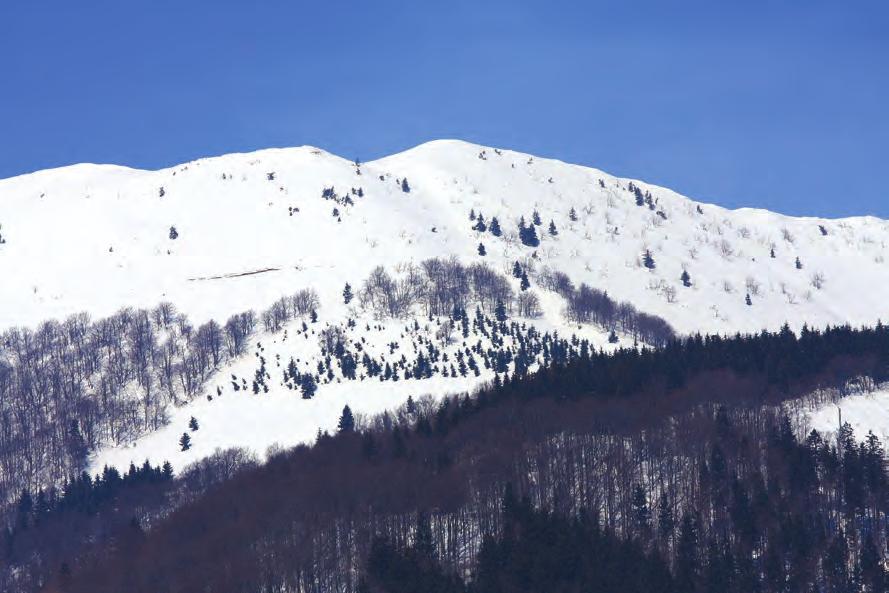 ročník Memoriálu Jána Doboša, ktorý sa koná v pohorí Malej Fatry v Sučianskej doline a je zároveň 4.