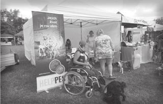 PesFest 2017 Majitelé a milovníci psů si také letos dají dostaveníčko v parku Na Pankráci, kde se tuto sobotu koná již