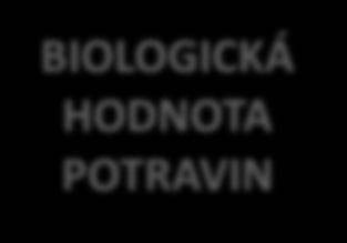 BIOLOGICKÁ HODNOTA POTRAVIN STAVEBNÍ FUNKCE POTRAVIN Důležité pro tvorbu a obnovu buněk