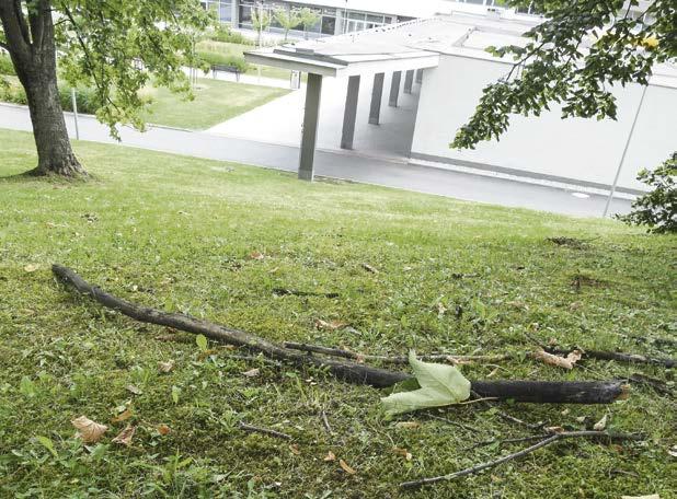 Byli tady dneska a vyžádali si záznamy z kamerového systému, řekl v pondělí vedoucí provozu krytého bazénu Radek Kyselý. Na dotaz, jestli je na záznamech něco vidět, odpověděl stručně, že ano.