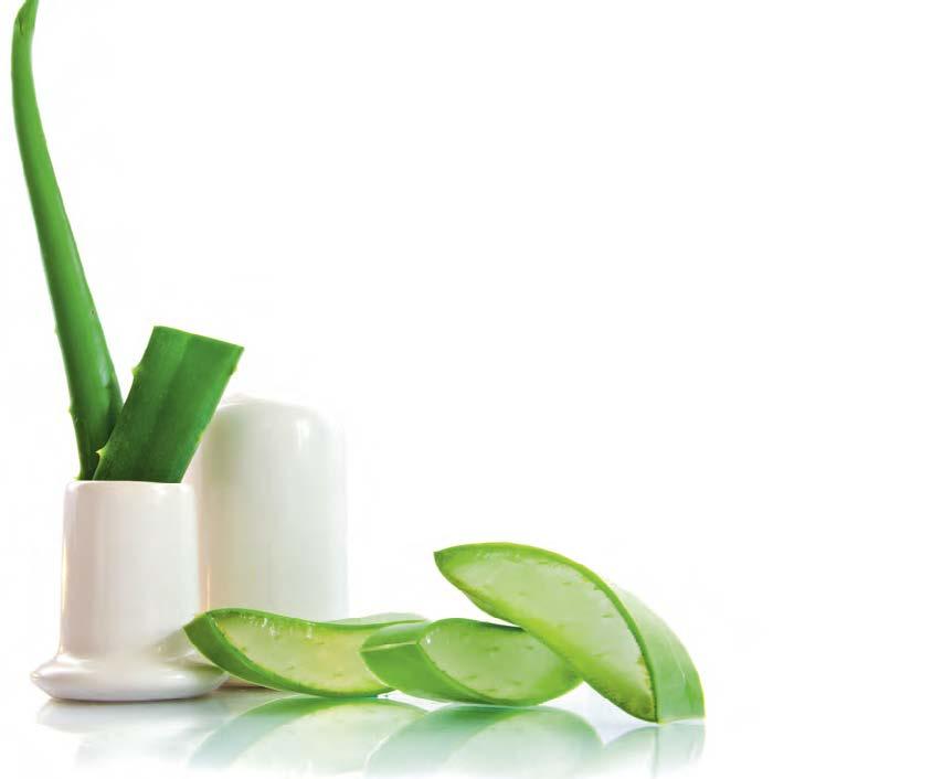 Aloe vera Aloe vera má při tvorbě domácí kosmetiky nezastupitelné místo a lze ho zařadit mezi emollienty.
