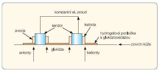 3. Metody využívající Ramanova spektra. 4. Impedanční spektroskopie. 5. Reverzní iontoforéza. 6. Transdermální měření konduktivity a tepelné kapacity.