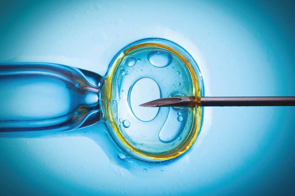 IN VITRO fertilizace Boxy EmbryoS@fe jsou inovativní pracovní stanice určené pro in vitro fertilizaci.