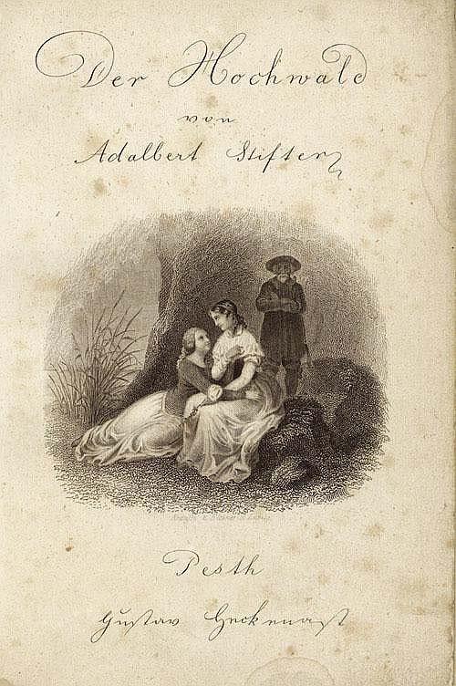 ..národní hledisko - velmi pozitivně přijato, heslo v Riegrově slovníku naučném (1859) - romantická koncepce lidu vs.