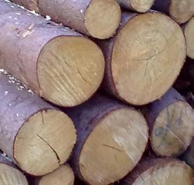 Řešením je zvyšování kapacity stávající kanalizace, budování nových úseků a také budování odděleného svodu dešťové a splaškové vody.