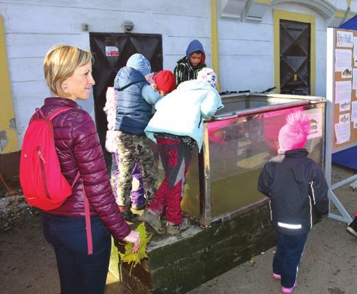 Účast ovlivnilo především hezké listopadové počasí, která nás v poledních hodinách zahřálo. A koho nezahřálo sluníčko se mohl zahřát teplou medovinou, svařeným vínem nebo dobrým čajem.