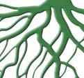 A hodnocení, dle dostupných informací A a B. Rovněž nám bylo již vydáno Osvědčení o standardizaci MAS 4.11.2015.