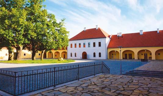 POHYBOVÉ STUDIO