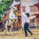 AREÁL SPORTU A KULTURY Dr. Veselého 75
