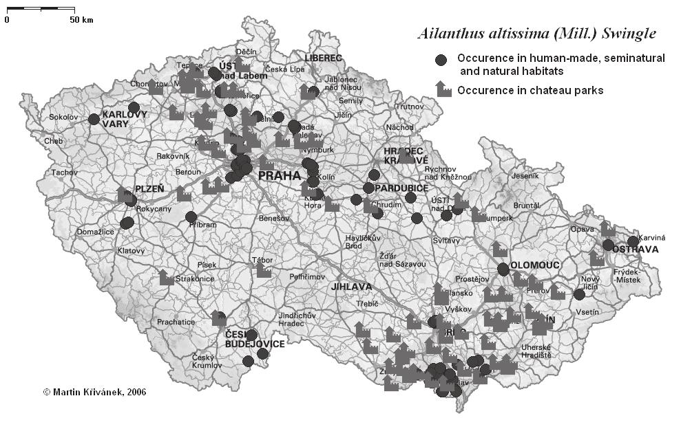 Obrázek 4.2 Mapa současného rozšíření druhu A. altissima a výskyty druhu v 82 z 823 sledovaných zámeckých parků v ČR v letech 1965 1985 Obrázek 4.3 Kumulativní nárůst lokalit druhu A.