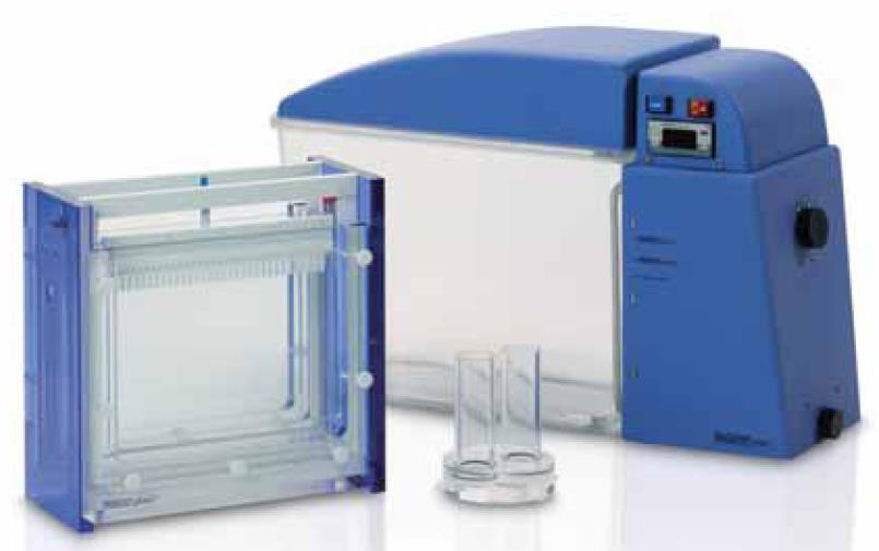 Denaturing Gradient Gel Electrophoresis (DGGE) DGGE je elektroforetická separační metoda, která je založená na rozdílech v teplotách tání dvouřetězcových fragmentů DNA.