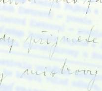 Text: SDH Branka u Opavy, foto: Karel Stuchlík REVERB USLYŠÍTE I NA FESTIVALU V BRANCE Možná si vzpomínáte, že před dvěma lety jste si v Braneckém zpravodaji mohli přečíst o