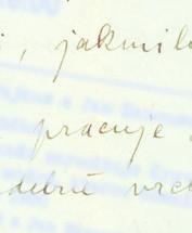 Než se rozejdem', dáme ruku všem a pak se uvažuje, jak to bude dnes s obědem. BRANSKÝ LITERÁRNÍ FESTIVAL VE ZNAMENÍ 150 LET SLEZSKÉHO BÁSNÍKA PETRA BEZRUČE (1867-2017) / III.