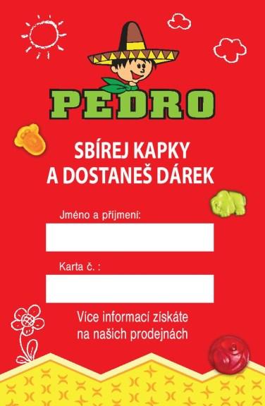 PŘÍLOHA P