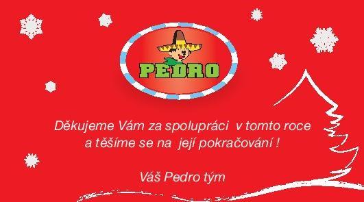 PŘÍLOHA P