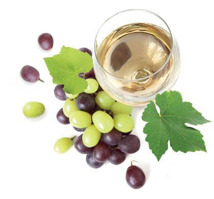BÍLÁ VÍNA WHITE WINES WEISSWEINE Rulandské šedé Pinot gris 0,75 l 330 CZK suché, zemské medium dry, country wine halbtrocken, Landwein Šlechtitelská stanice vinařská, Velké Pavlovice, Česká republika