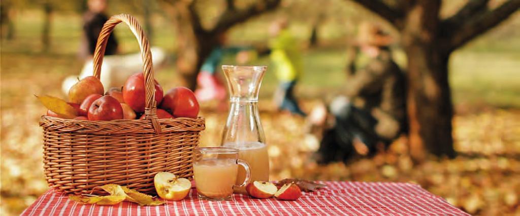 4 Moštování 4.1 Úvod Moštování ovoce je tradiční způsob zpracování ovoce, popř. zeleniny, při kterém je vylisována šťáva.