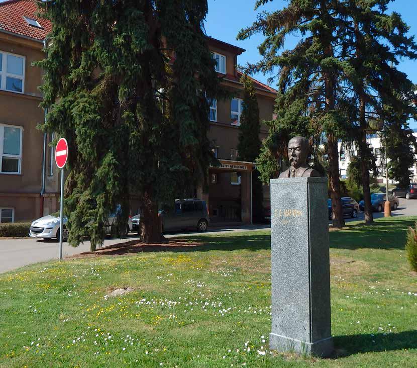 Rozhovor Masarykova nemocnice se modernizuje Nový příjem na Interním oddělení, rekonstrukce části intenzivní péče, rozšíření či obnovení provozu některých ambulancí a řadu dalších novinek se podařilo