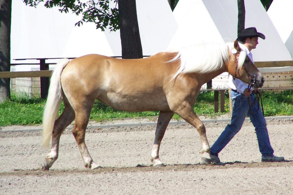 Jméno: 57/859 Ginger Datum narození: 16. 3.