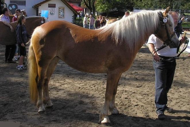 Jméno: 72/167 Veronika Datum narození: 5. 6.