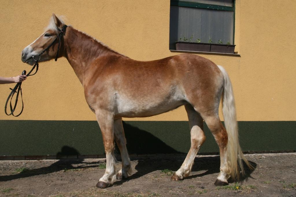 Jméno: 53/189 Genie Datum narození: 18. 3.