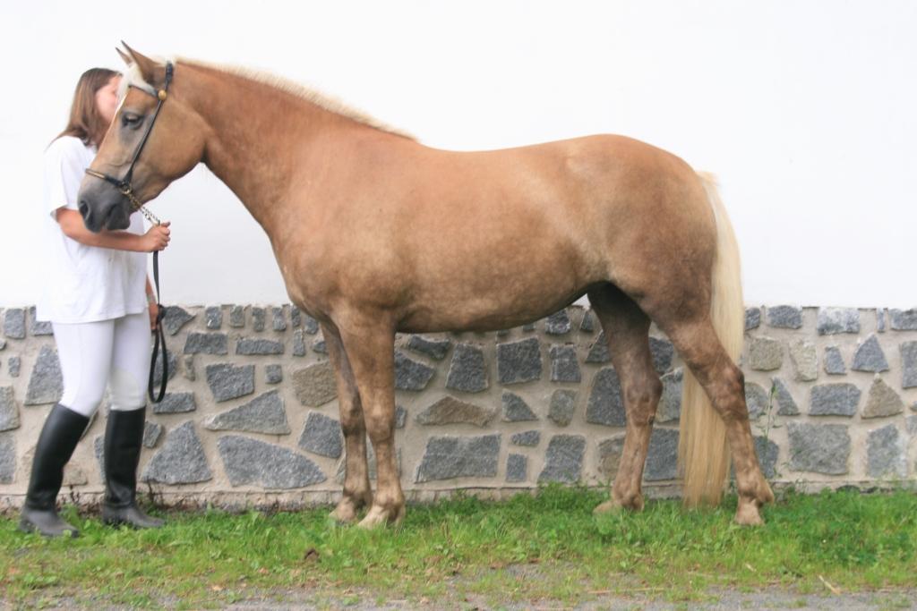 Rudolf Nachtigal, Rakvice Počet bodů: 6,4; KVH: 142 cm; PK Jméno: 11/403 Lara Datum narození: