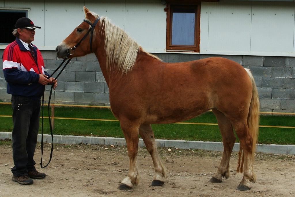 Zikmundová, Tuchlovice Počet bodů: 6,