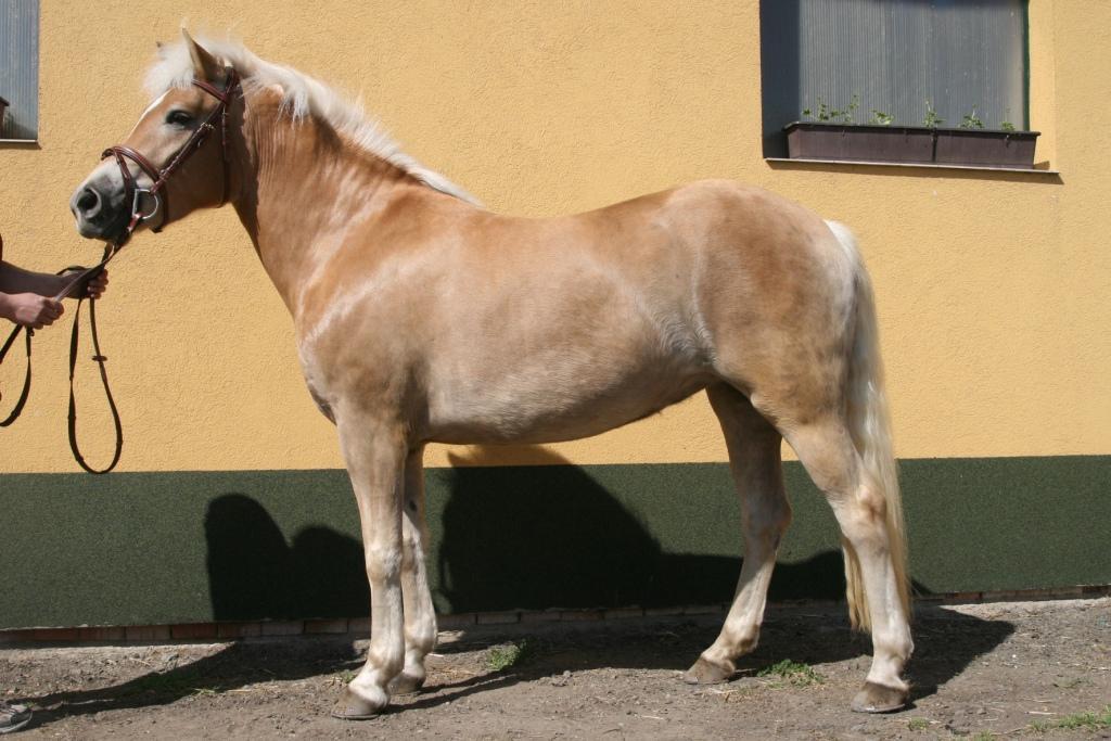 Jméno: 53
