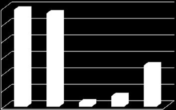 utracené kočky 12 