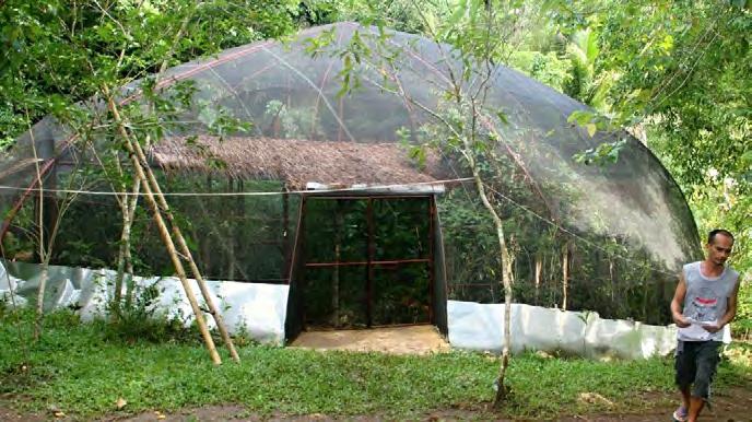 Projekt Tarsius RNDr. Milada Řeháková, Ph.D. Projekt Tarsius probíhal v roce 2016 ve dvou hlavních lokalitách, a to na ostrově Bohol a na ostrově Dinagat.