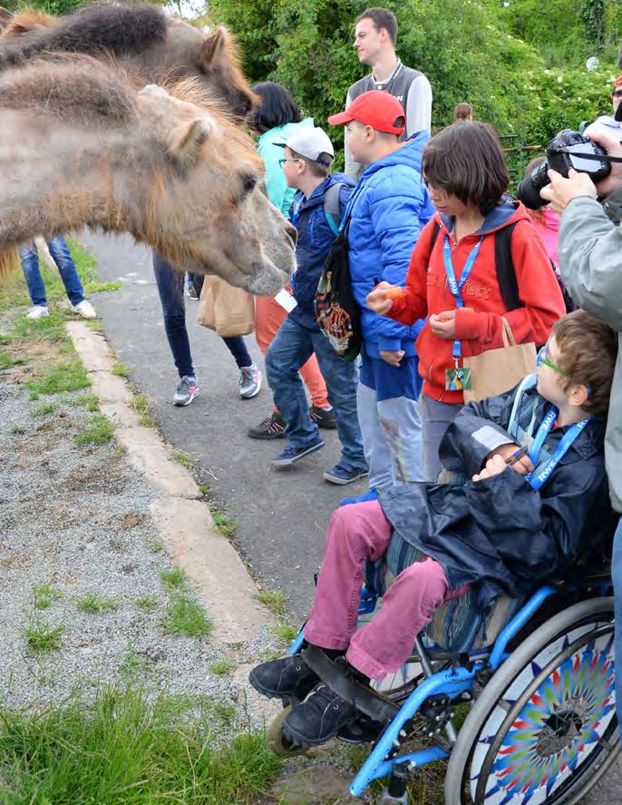 4 Světový den rodin (15. května) Podtitul akce Mámo, táto, pojďme do zoo! byl pozvánkou ke společně strávenému dni v zoo.