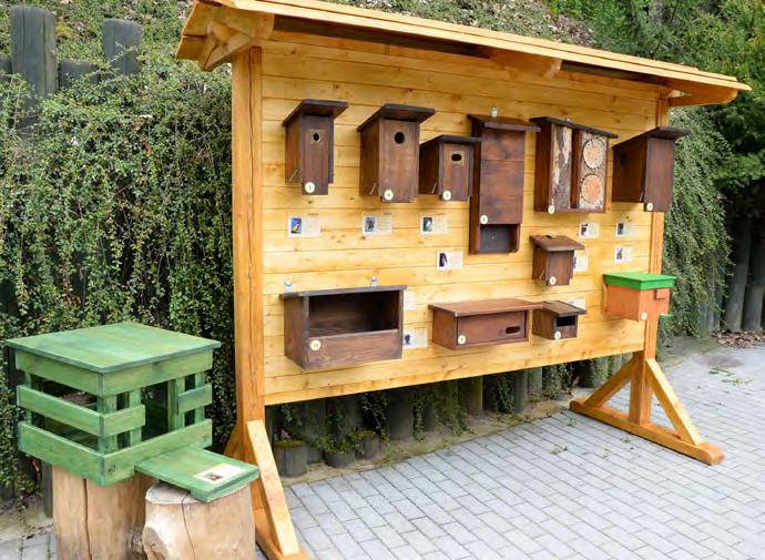 jednodenní program pro příměstské tábory (komentovaná projížďka Zoovláčkem, beseda a promítání v Zooškole, ukázka přírodnin, pracovní listy ).
