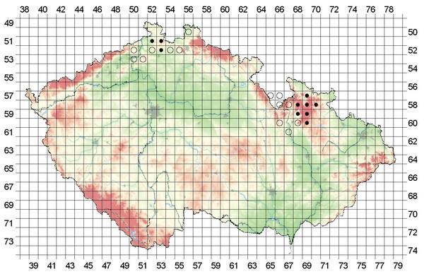 Turovití (Bovidae) Muflon, Ovis aries musimon Distribuce: regionální charakter výskytu, 140 930 m n. m., cca 1400 nálezových dat, 386 mapovacích kvadrátů (61,5 % území ČR); obory.