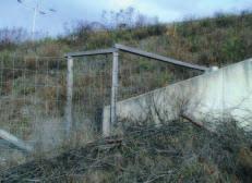 15 Foto 2: Holandsko - okraj migračního objektu se zapjeným porostem dřevin elektrické ploty jsou drahé a vyžadují časté kontroly a údržbu.