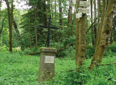 Čepičkovo dub dub na Pile Pile První zmínka o obci Pila (německy Seeg) pochází z roku 1613, kdy obec patřila k nedalekému panství Grafenried a spolu s ním po úpravě státní hranice připadla v roce