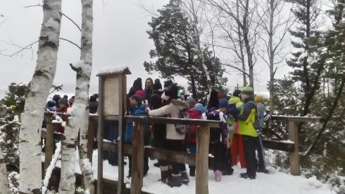 Vždy dva dny se budeme věnovat jednomu