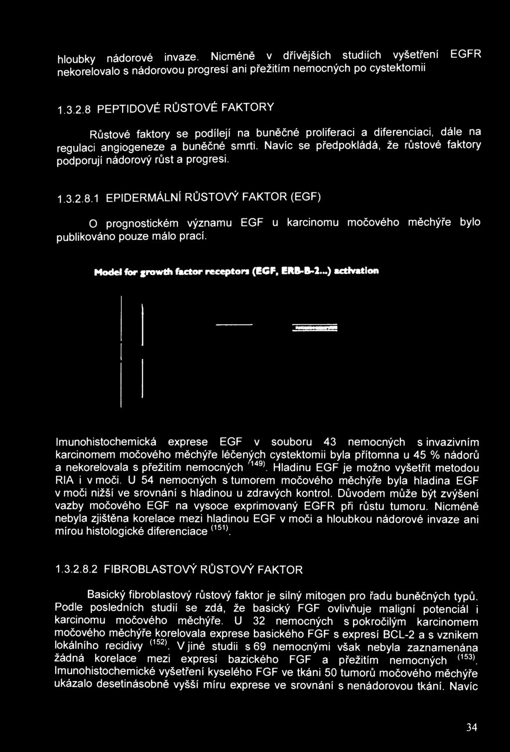 hloubky nádorové invaze. Nicméně v dřívějších studiích vyšetření EGFR nekorelovalo s nádorovou progresí ani přežitím nemocných po cystektomii 1.3.2.