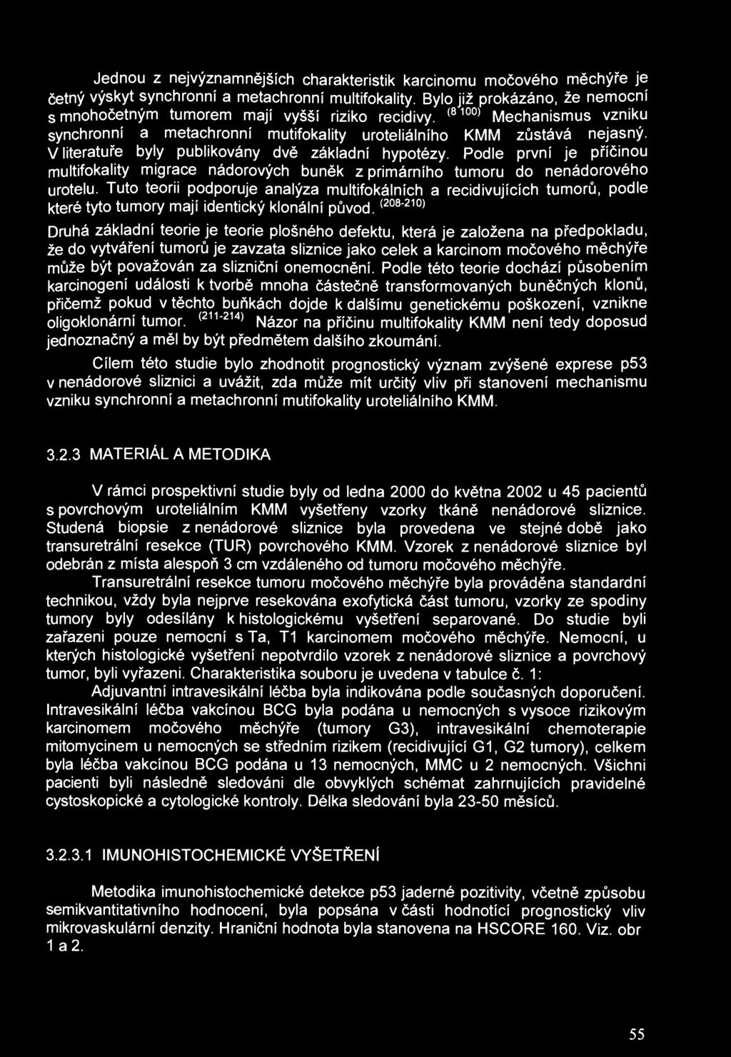 Jednou z nejvýznamnějších charakteristik karcinomu močového měchýře je četný výskyt synchronní a metachronní multifokality.