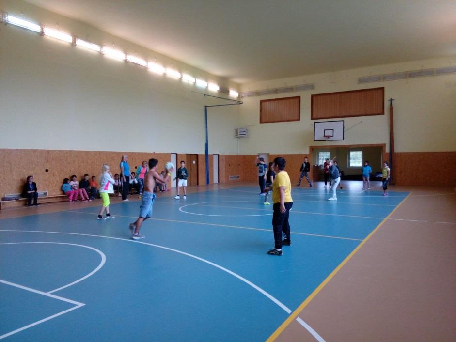Vybíjená ve Vlčicích Dne 25. října se na naší škole konal Turnaj tříd ve vybíjené. Přesto, že počet žáků byl limitován nemocí, se nás sešlo 38 sportovců.