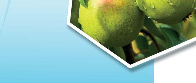 moniliová hniloba jabĺk, alternariová škvrnitosť listov, plesne rodu Botrytis, čierna hniloba, mušicovitosť a sadzovitá škvrnitosť a ďalšie. Vykazuje tiež vedľajšiu účinnosť na múčnatku jabloňovú.