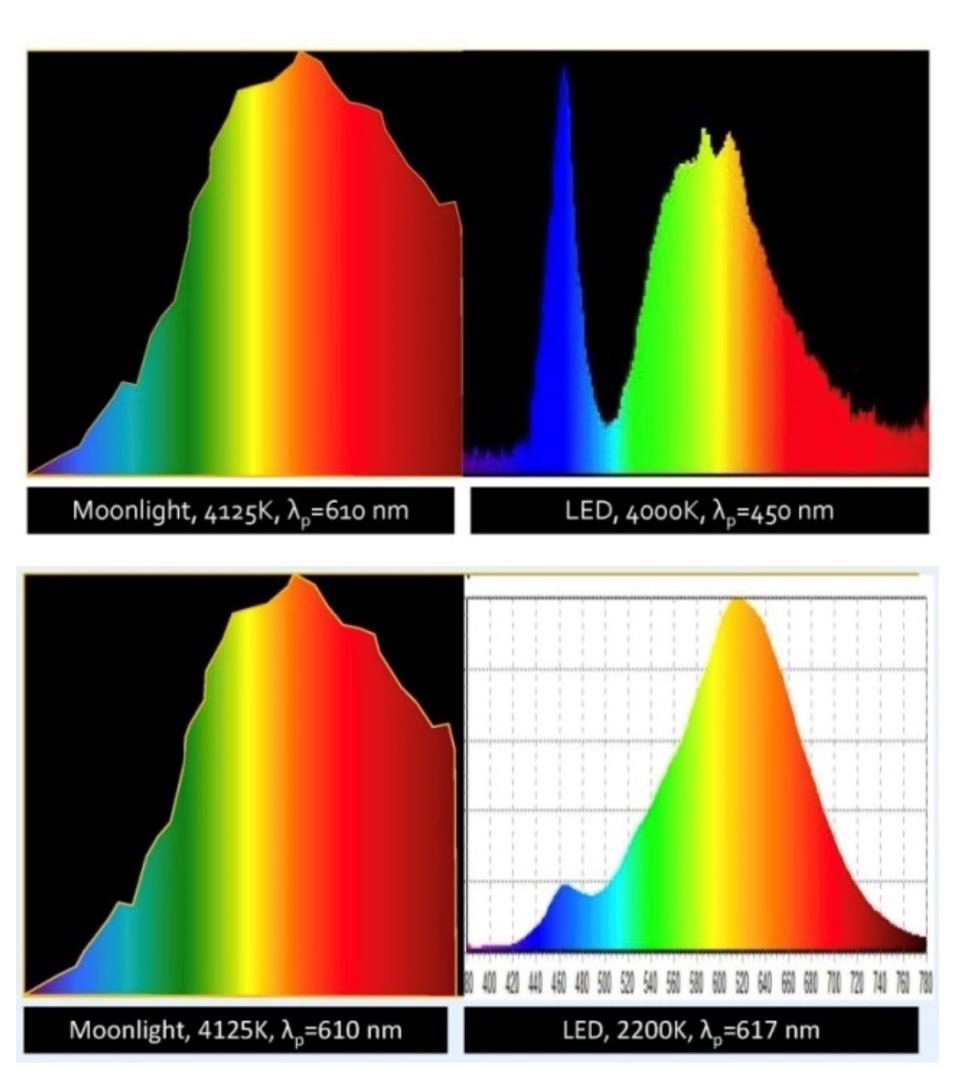 Obrázek 6 Srovnání spektrálního složení měsíčního světla (levá strana obrázku) se spektrem vyzařovaného bílými LED s různou národní teplotou chromatičnosti (zdroj: Hynek Medřický) Z předcházejícího