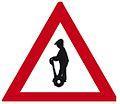 Nové znění v podstatě přirovnává uživatele segway k osobě na bruslích.