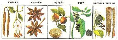 roku 1652 poblíž mysu Dobré naděje, na nejjižnějším cípu Afriky, plantáže a pevnost, dnešní Kapské Město. Potomci původních nizozemských kolonistů žijí v této oblasti dodnes.