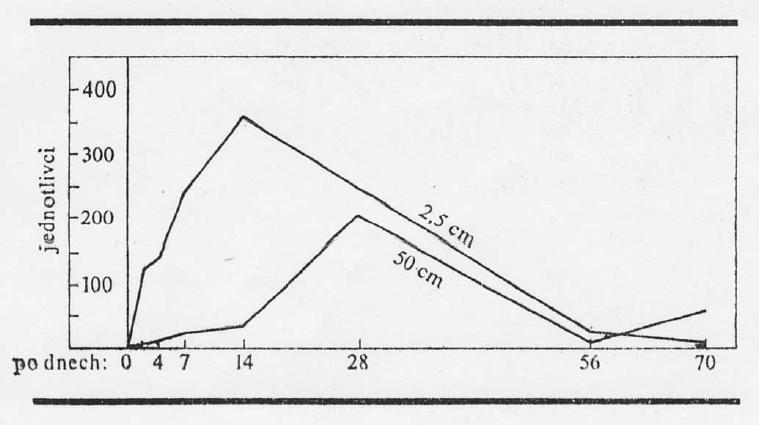 Obr. 9: Graf vývoje množství hmyzu na mršině v hloubce 2,5 a50 cm půdy (Povolný, 1978) V. 2 Kolonizace ve vodním prostředí Kolonizace mršiny ve vodním prostředí probíhá odlišně.