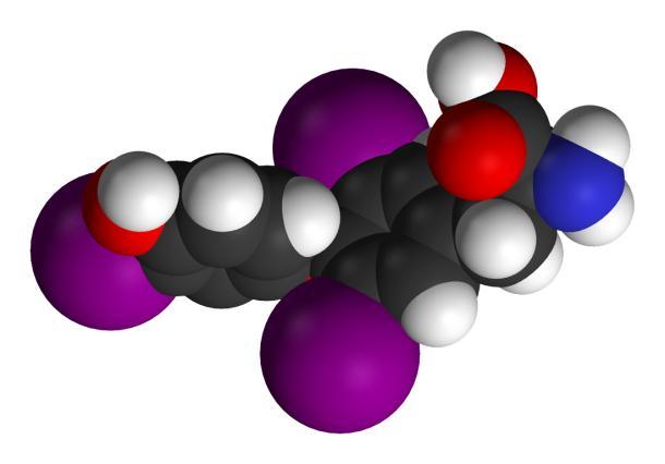 Thyroidní Hormony 3,5,3 -trijodothyronin (T