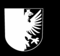 Také jsme zahájili práce na opravách cestiček v areálu místního hřbitova, které budou probíhat postupně v řádu několika let.