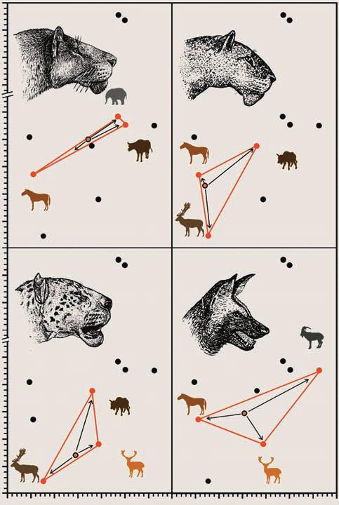 4,0 3,5 3,0 2,5 2,0 1,5 Hemitragus 30 % Mammuthus Mammuthus Hemitragus Stephanorhinus Bison Stephanorhinus Bison Equus 38 % Soergelia 19 % Pseudodama 43 % Praemegaceros Soergelia 58 % Equus