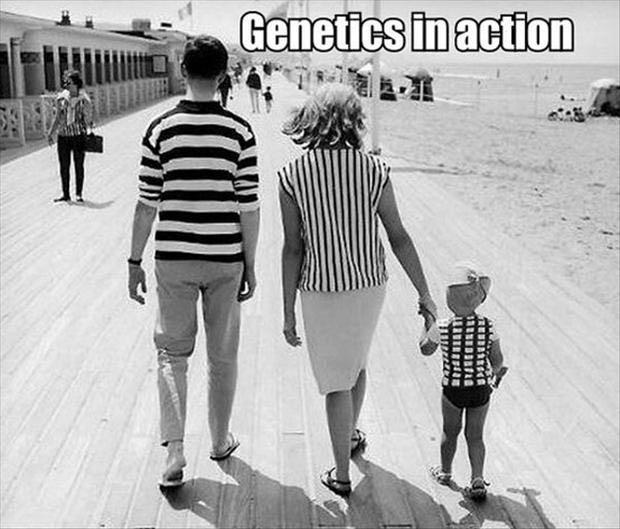 GENETIKA?