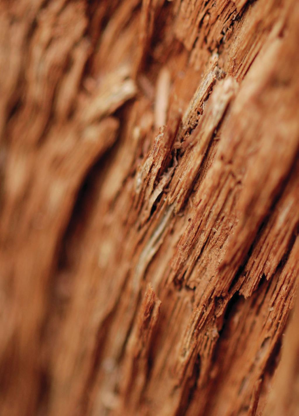 Dekorační materiály V naší nabídce najdete produkty vyrobené čistě z přírodních materiálů.