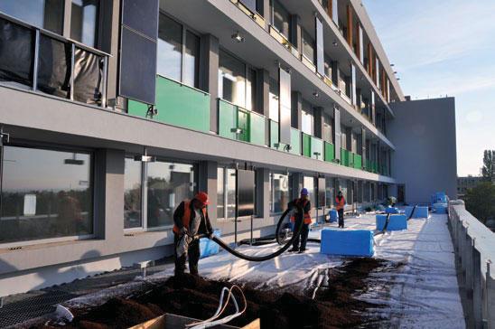 Profesionální střešní substráty Florcom Jsou organicko-minerální substráty s vynikající